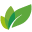 Rainbow Agro Bangladesh